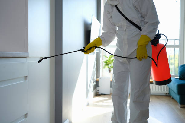 Best Mold Remediation for Specific Building Types in Greene, IA